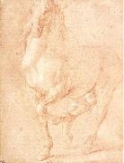 PUGET, Pierre Study of a Horse